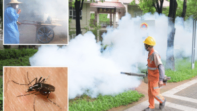chikungunya