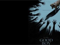 Out of The Box, Film “Good Boy” Hadirkan Horor Lewat Sudut Pandang Seekor Anjing