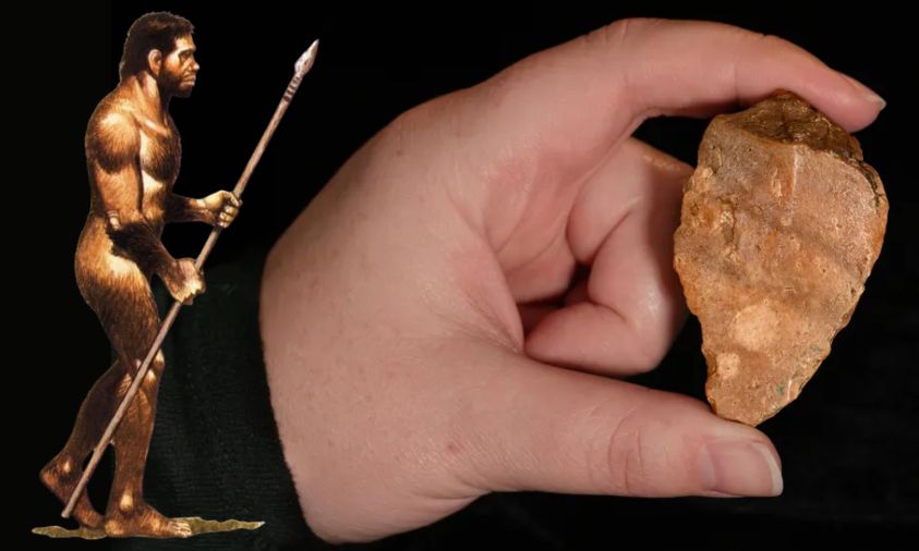 Alat Batu Berusia 1,5 Juta Tahun Ditemukan di Sulawesi, Bukti Keberadaan Manusia Purba Homo Erectus