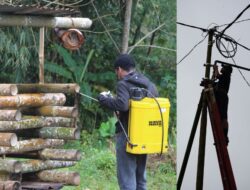 30 Mahasiswa UGM Sukses Jalankan 50 Program KKN di Ngada, NTT