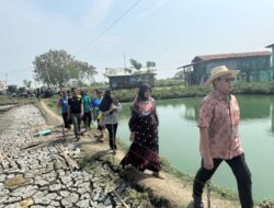 Prof. Rokhmin Tinjau Usaha Budidaya Lele Desa Puntang, Dorong Penguatan Pemasaran untuk Peningkatan Penjualan