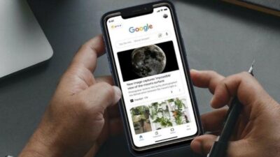 Google Discover Feed