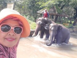 Kolam Gajah di Taman Nasional Way Kambas