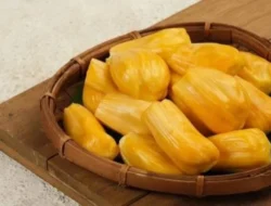 Buah-Buahan Kaya Protein, Alternatif Snack Sehat dan Mengenyangkan