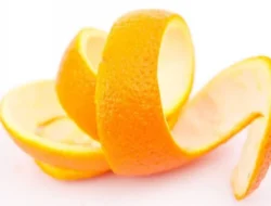 Manfaat Kulit Buah untuk Diet dan Kesehatan Pencernaan