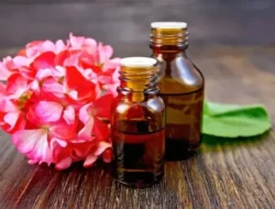 Geranium Oil: Minyak Esensial Serbaguna untuk Gaya Hidup Sehat