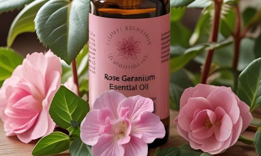Geranium Oil