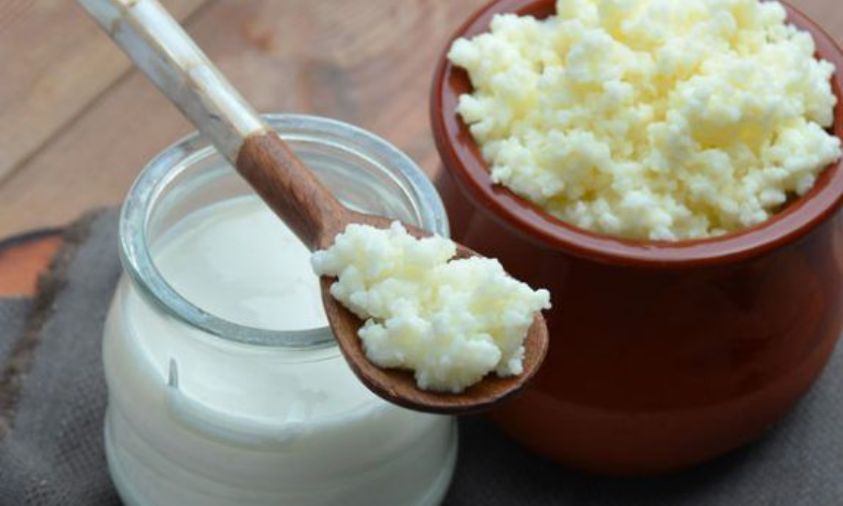 Kefir