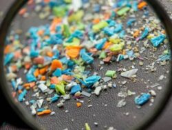 Berikut Bahaya Mikroplastik Bagi Kesehatan Tubuh