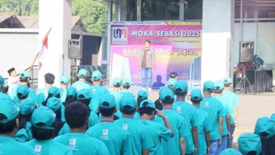 Program 3+1 UNM