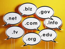 Dari Ide Jadi Website: Pentingnya Domain dan Hosting yang Tepat