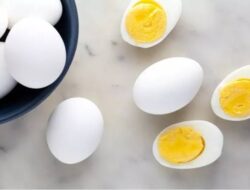Rutin Makan Telur Rebus, Ini Efek Positifnya untuk Tubuh dan Otak