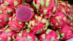 Makan Buah Naga Tiap Hari? Begini Risiko yang Perlu Kamu Tahu