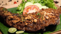sunzet nusantara