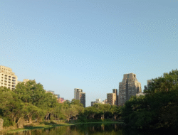 Taipei: Dari Taipei 101 hingga Stinky Tofu, Kota Modern Penuh Warna