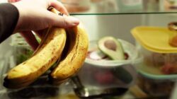 Kenapa Beberapa Buah Tak Boleh Masuk Kulkas? Ini Penjelasannya