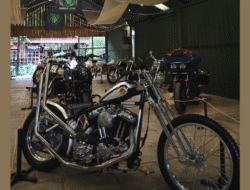 Customland 2025 Hadirkan Tema “Wildthings” dan Ikon Frankenstein