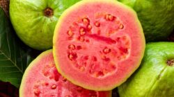 Manfaat Buah Jambu untuk Kesehatan: Kaya Vitamin, Segar, dan Mudah Didapat