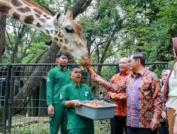 Taman Margasatwa Ragunan Berencana Susun Agenda Revitalisasi di 2027