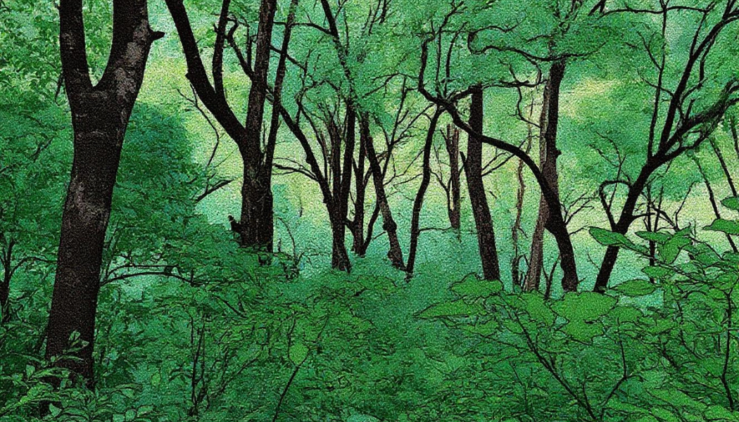 hutan tumbuhan lebat