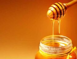 Bukan Sekadar Pemanis, Madu Sebelum Tidur Disebut Punya Efek “Diam-diam” ke Tubuh