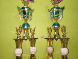 Prestasi Cemerlang! Siswa KB–TK Prestasi Global-Depok Bersinar di Lomba Menari Kreasi Nusantara