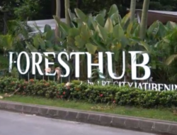 Forest Hub by LRT Jatibening, Oase Hijau Baru di Tengah Padatnya Kota