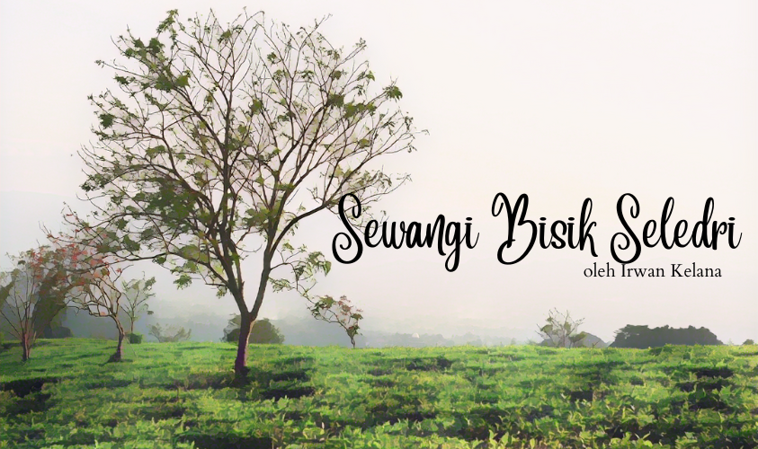 sewangi bisik seledri