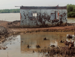 Menunggu Air Surut di Rumah yang Tak Pernah Benar-Benar Kering, Kisah Ibu Supiyah di Muara Gembong