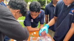 Lebih dari Pameran, Sekolah Prestasi Global: Science Fair 2026 Perkuat Visi Sekolah Berbasis Inovasi
