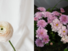 Silk or Real Flowers for Events? Pros, Cons, and Cost Guide
