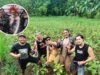 Dari Jalanan ke Kebun, Petani Punk Bangun Ekonomi Desa