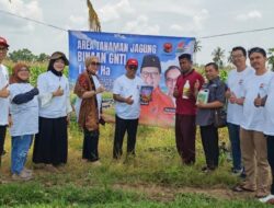 Monitoring Kebun Jagung Kemitraan GNTI, Persiapan Panen Raya 1.500 Hektare