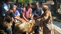 Sekolah BM 400 Salurkan Hewan Qurban untuk 600 Mustahiq di Desa Cipenjo, Kabupaten Bogor   