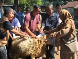 Sekolah BM 400 Salurkan Hewan Qurban untuk 600 Mustahiq di Desa Cipenjo, Kabupaten Bogor   