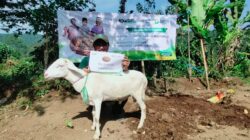 Perluas Manfaat Qurban, LAZNAS BMH Salurkan Qurban untuk Warga di Pelosok Jember