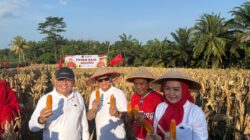 Prof. Rokhmin Dahuri Hadiri Panen Ikan dan Jagung di Kecamatan Palas, Lampung Selatan
