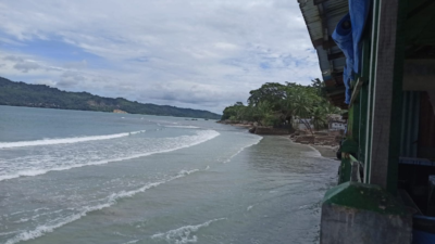 ambon