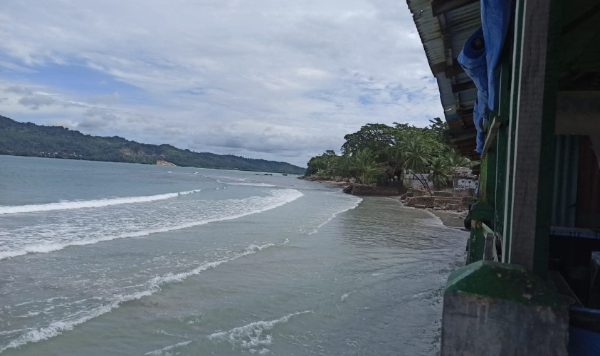 ambon