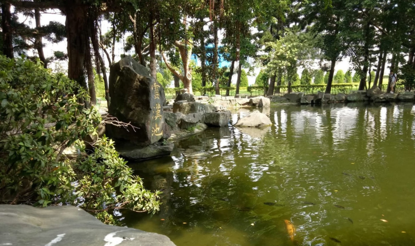 kolam