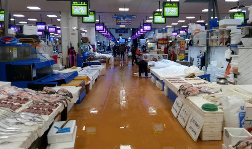 pasar laut
