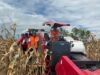Panen Raya Jagung GNTI: Modernisasi Pertanian untuk Memperkuat Ketahanan Pangan dan Meningkatkan Kesejahteraan Petani