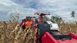 Panen Raya Jagung GNTI: Modernisasi Pertanian untuk Memperkuat Ketahanan Pangan dan Meningkatkan Kesejahteraan Petani