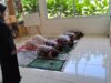 Pembiasaan Shalat Dhuha di KB-TK Bina Insani Bogor