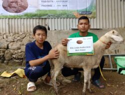 Qurban BMH Hadirkan Kebahagiaan di Kampung Nelayan Bangkalan