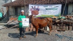 Qurban LAZNAS BMH Hadirkan Senyum Bahagia di Pelosok Kalibanjar