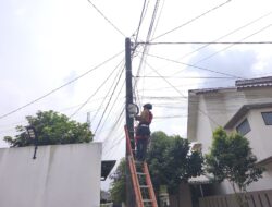PLN Icon Plus Regional Jakarta dan Banten Lakukan Penataan dan Penertiban Jaringan untuk Jaga Keandalan Layanan