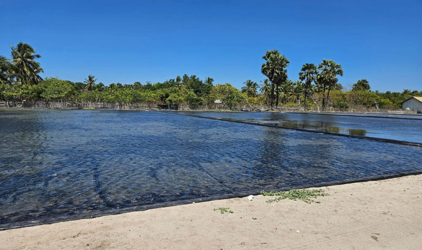 pulau sabu