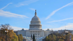 washington dc