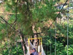 Pulang ke Rumah Adalah  Hadiah Terbesar